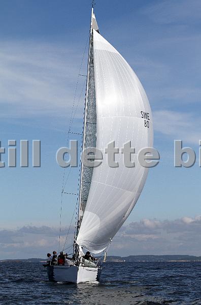 ORCi2 355.jpg